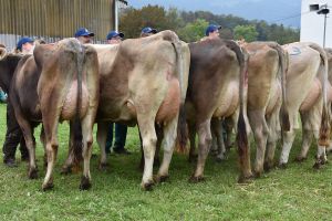 006Schneuter jngere alle